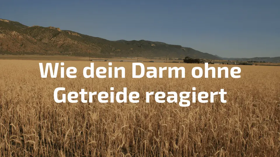 Wie dein Darm ohne Getreide reagiert