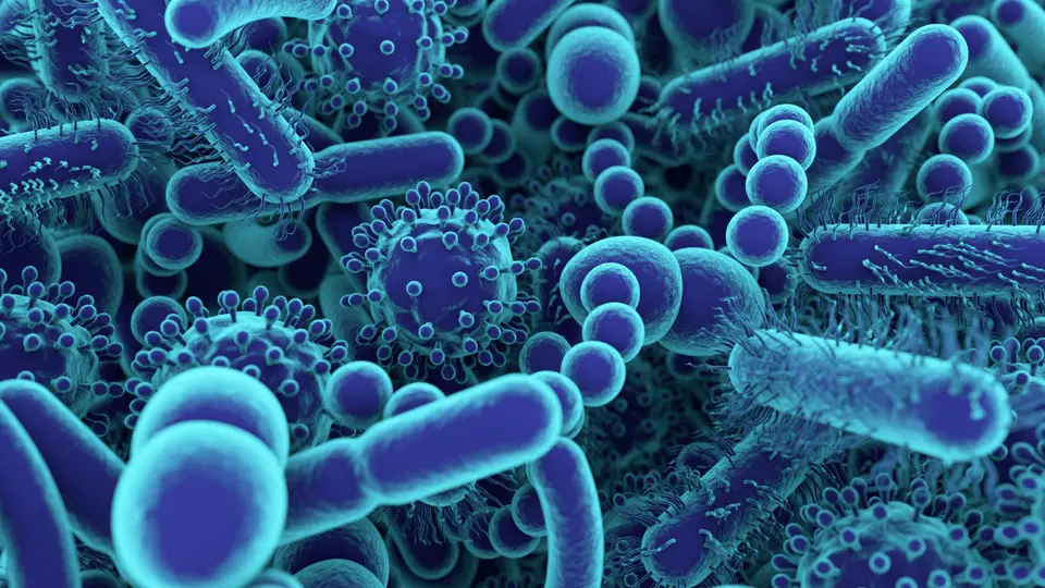 Antibiotika Übergewicht