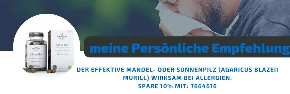 Der Mandel- oder auch Sonnenpilz - Agaricus Blazer Murill
