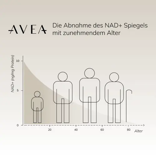 Was ist Longevity