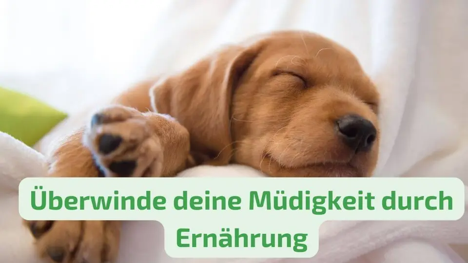 Müde trotz ausreichend Schlaf