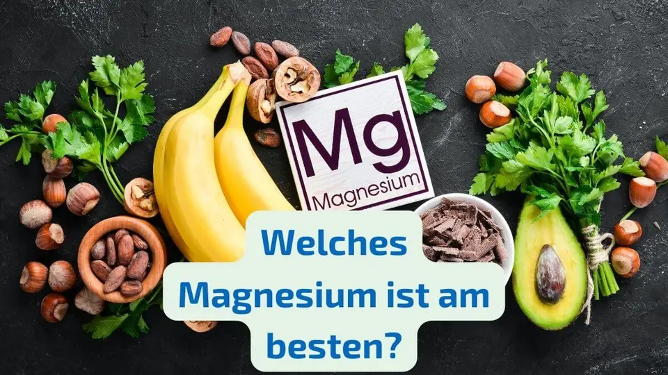 Welches Magnesium ist am besten