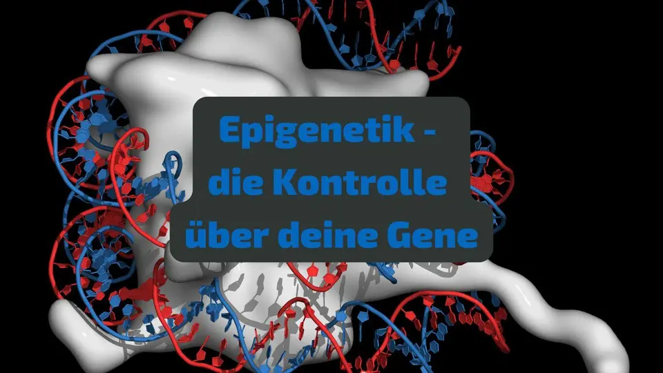Abnehmen mit Gentest – Gene als Schlüssel