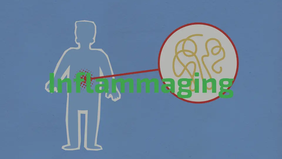 Inflammaging
