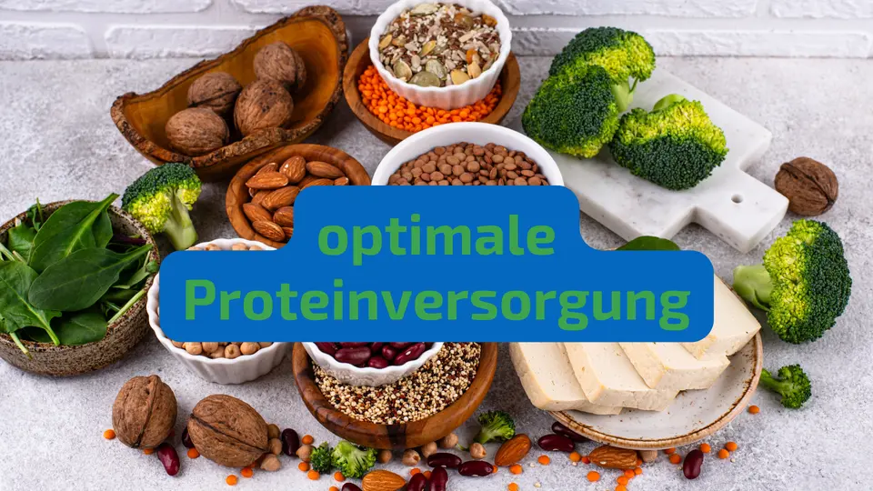 Gesunde Ernährung auf Zellebene – Mitochondrien stärken