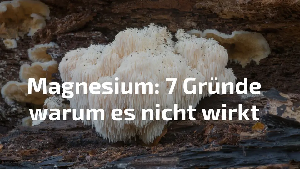 Magnesium wirkt nicht – 7 häufige Fehler bei der Supplementierung erkennen