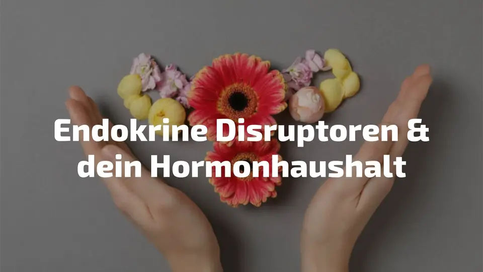 Endokrine Disruptoren erkennen und vermeiden – Hormonhaushalt schützen