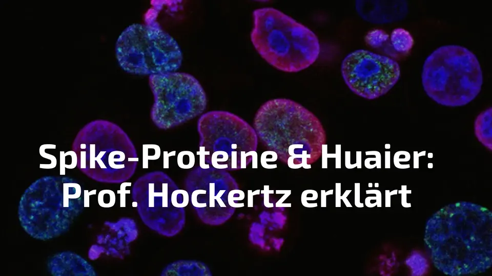 Huaier Pilz und Spike-Proteine: Was Prof. Dr. Hockertz erklärt – und was du jetzt tun kannst