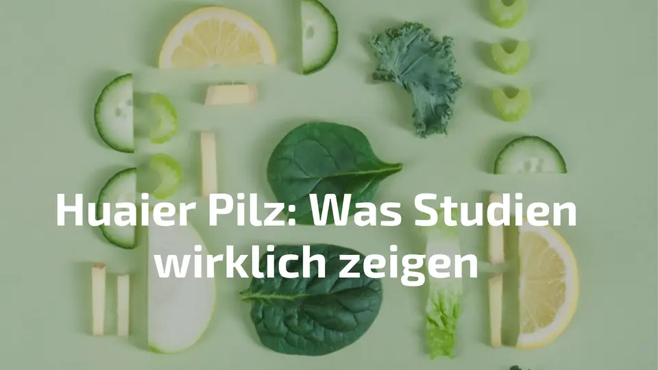 Huaier Pilz: Wirkung, Studien und Anwendung – der vollständige Guide