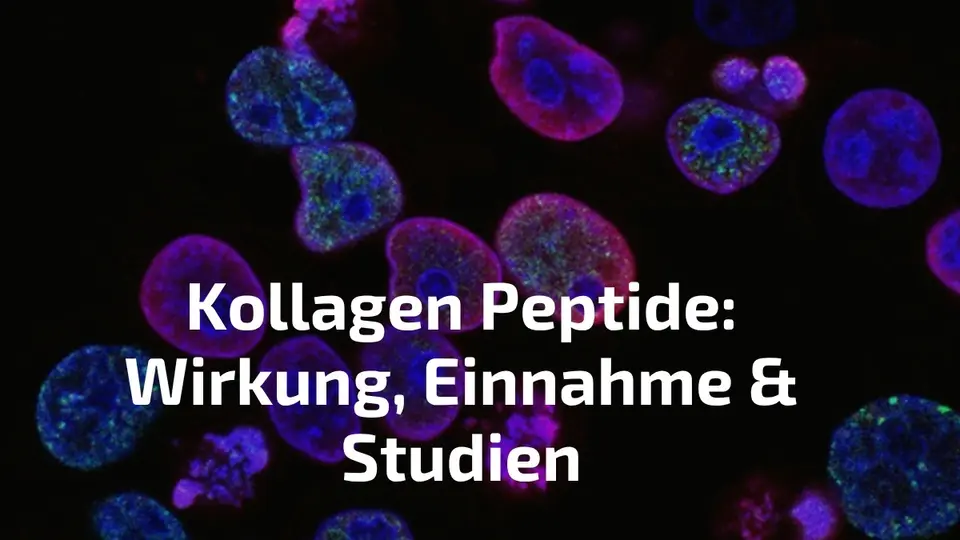 Kollagen Peptide Wirkung und Einnahme — Thorsten Schmitt erklärt