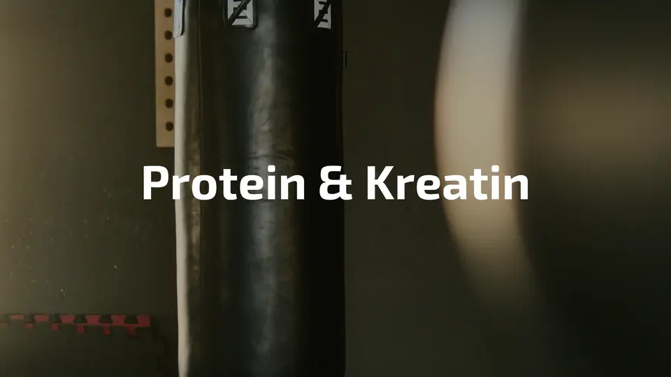 Protein und Kreatin einnehmen bester Zeitpunkt