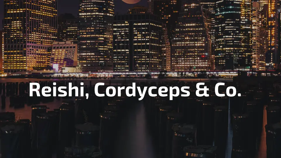 Nacht Skyline Energie – Reishi Cordyceps Hericium welcher Vitalpilz fuer welche Herausforderung