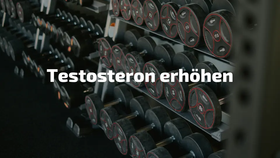 Testosteron erhöhen natürlich – gegen Müdigkeit und Erschöpfung