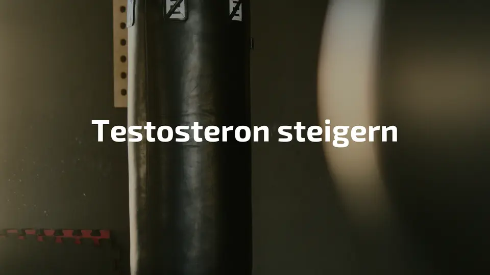 Testosteron natürlich steigern durch Sport und Ernährung