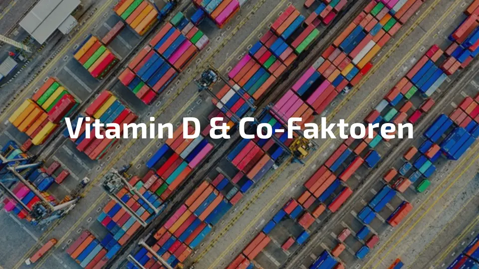 Sonnenlicht – Vitamin D Magnesium Co-Faktoren
