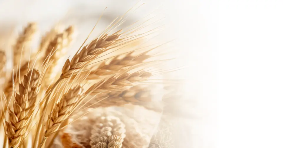 hashimoto glutenfrei