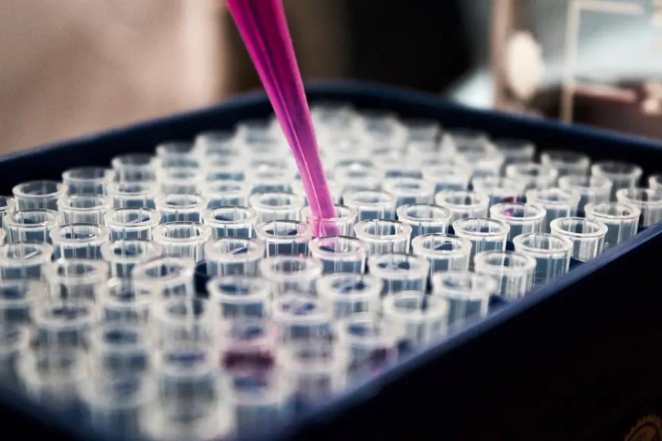 Körpereigene Entgiftung verbessern – Moleküle und Enzyme