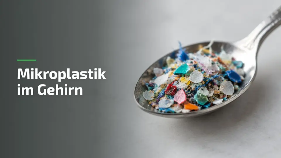 Mikroplastik im Gehirn: ein Teelöffel voller Mikroplastik-Partikel