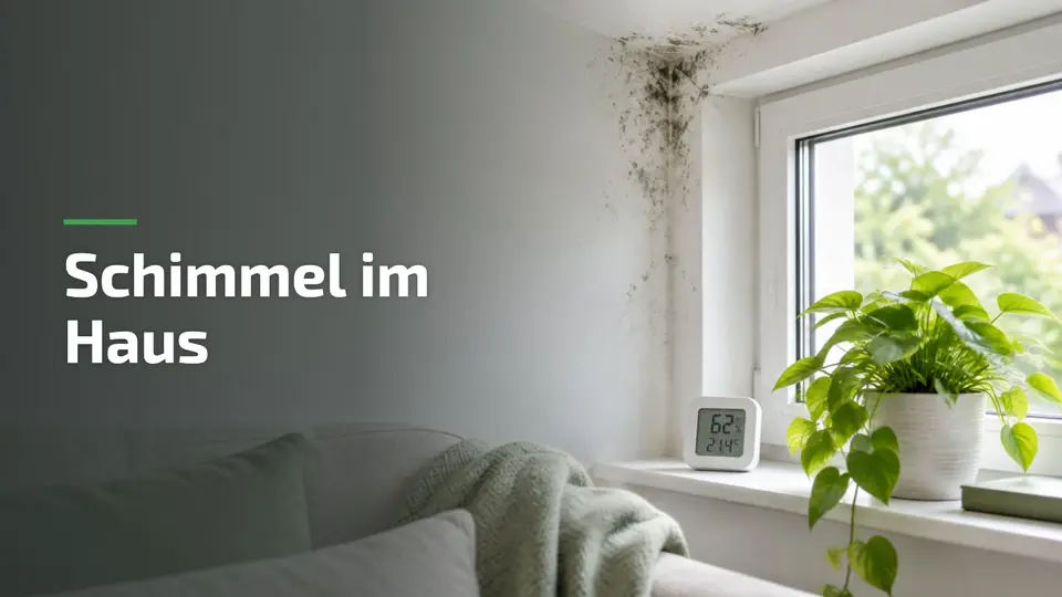 Schimmel im Haus: dunkle Schimmelflecken an der Wand über dem Fenster